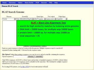 BLAT = Blast-Like Alignment Tool
Ø search for high similarity matches by indexing entire
genome
Ø DNA limit = 25000 bases, for multiple seqs 50000 bases

Ø protein limit = 10000 aa, for multiple seqs 25000 aa

Ø total sequences = 25
 