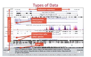 Types	
  of	
  Data	
  
Reference	
  sequence	
  
	
  	
  	
  	
  Annota8on	
  tracks	
  
Gene/protein	
  
informa8on	
  
Comparision	
  with	
  
other	
  species	
  
SNPs	
  
 
