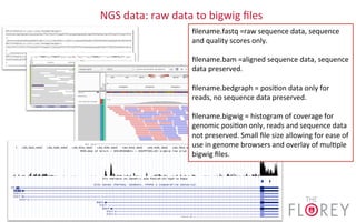 NGS	
  data:	
  raw	
  data	
  to	
  bigwig	
  ﬁles	
  
ﬁlename.fastq	
  =raw	
  sequence	
  data,	
  sequence	
  
and	
  quality	
  scores	
  only.	
  
	
  
ﬁlename.bam	
  =aligned	
  sequence	
  data,	
  sequence	
  
data	
  preserved.	
  
	
  
ﬁlename.bedgraph	
  =	
  posi2on	
  data	
  only	
  for	
  
reads,	
  no	
  sequence	
  data	
  preserved.	
  
	
  
ﬁlename.bigwig	
  =	
  histogram	
  of	
  coverage	
  for	
  
genomic	
  posi2on	
  only,	
  reads	
  and	
  sequence	
  data	
  
not	
  preserved.	
  Small	
  ﬁle	
  size	
  allowing	
  for	
  ease	
  of	
  
use	
  in	
  genome	
  browsers	
  and	
  overlay	
  of	
  mul2ple	
  
bigwig	
  ﬁles.	
  
 
