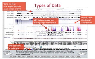 Types	
  of	
  Data	
  
NGS	
  data	
  coverage	
  plot	
  
(histogram)	
  is	
  con8nuous.	
  
SNP	
  posi8ons	
  
are	
  discrete	
  
Gene	
  models:	
  
Line	
  height	
  denotes	
  
exon,	
  intron	
  or	
  UTR	
  
Arrows	
  show	
  
direc8on	
  of	
  
transcripton	
  
 