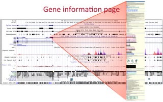 Gene	
  informa2on	
  page	
  
 