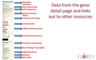 Data	
  from	
  the	
  gene	
  
detail	
  page	
  and	
  links	
  
out	
  to	
  other	
  resources	
  
informative
description
other resource links
microarray data
mRNA secondary structure
links to sequences
protein domains/structure
orthologs in other species
Gene Ontology™ descriptions
mRNA descriptions
pathways
genetic association
studies
comparative toxicology
gene model
 