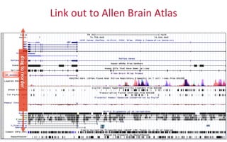 Link	
  out	
  to	
  Allen	
  Brain	
  Atlas	
  	
  	
  	
  	
  drag	
  to	
  reorder	
  
 