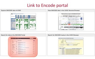 Link	
  to	
  Encode	
  portal	
  
 