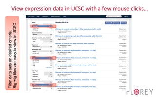 View	
  expression	
  data	
  in	
  UCSC	
  with	
  a	
  few	
  mouse	
  clicks…	
  Filterdatasetsondesiredcriteria.
BigwigfilesareeasytoviewinUCSC.
 