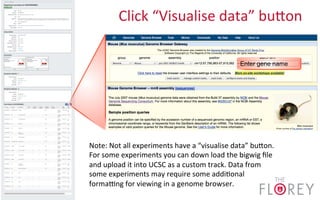Click	
  “Visualise	
  data”	
  budon	
  
Enter gene name
Note:	
  Not	
  all	
  experiments	
  have	
  a	
  “visualise	
  data”	
  budon.	
  	
  	
  
For	
  some	
  experiments	
  you	
  can	
  down	
  load	
  the	
  bigwig	
  ﬁle	
  
and	
  upload	
  it	
  into	
  UCSC	
  as	
  a	
  custom	
  track.	
  Data	
  from	
  
some	
  experiments	
  may	
  require	
  some	
  addi2onal	
  
formalng	
  for	
  viewing	
  in	
  a	
  genome	
  browser.	
  
 