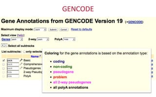 GENCODE	
  
 