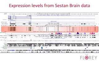 Expression	
  levels	
  from	
  Sestan	
  Brain	
  data	
  
 