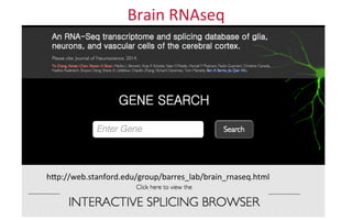 Brain	
  RNAseq	
  
hdp://web.stanford.edu/group/barres_lab/brain_rnaseq.html	
  
 
