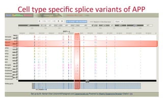 Cell	
  type	
  speciﬁc	
  splice	
  variants	
  of	
  APP	
  
 