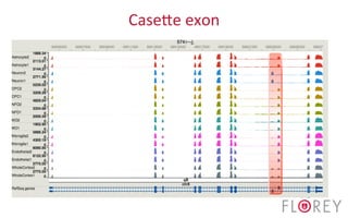 Casede	
  exon	
  
 