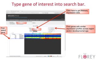 Type	
  gene	
  of	
  interest	
  into	
  search	
  bar.	
  
Click here to get RNAseq
expression data.
Find genes with similar
expression profiles across region
and/or developmental age.
First
select
gene
 