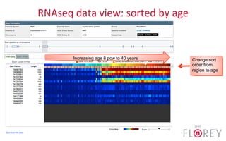 RNAseq	
  data	
  view:	
  sorted	
  by	
  age	
  
Change sort
order from
region to age
Increasing age 8 pcw to 40 years
 