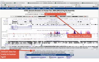 Default	
  view	
  for	
  
tracks	
  in	
  human	
  
hg19	
  
MBP	
  
String	
  search	
  or	
  loca8on	
  
 