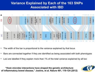 Variance Explained by Each of the 163 SNPs
Associated with IBD

• The width of the bar is proportional to the variance explained by that locus
• Bars are connected together if they are identified as being associated with both phenotypes
• Loci are labelled if they explain more than 1% of the total variance explained by all loci

“Host–microbe interactions have shaped the genetic architecture
of inflammatory bowel disease,” Jostins, et al. Nature 491, 119-124 (2012)

 