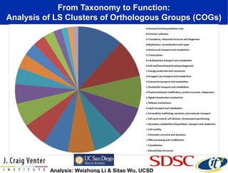 From Taxonomy to Function:
Analysis of LS Clusters of Orthologous Groups (COGs)

Analysis: Weizhong Li & Sitao Wu, UCSD

 