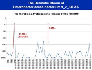 The Dramatic Bloom of
Enterobacteriaceae bacterium 9_2_54FAA
This Microbe is a Proteobacteria Targeted by the NIH HMP

1,000x
21,000x
LS5LS6

 