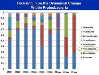 Focusing in on the Dynamical Change
Within Proteobacteria

 