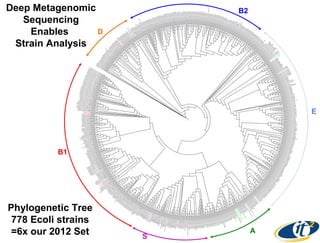 Deep Metagenomic
Sequencing
D
Enables
Strain Analysis

B2

E

B1

Phylogenetic Tree
778 Ecoli strains
=6x our 2012 Set

S

A

 