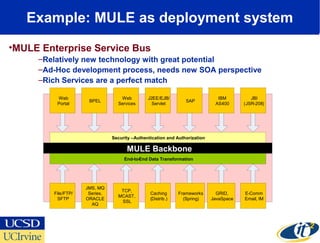 Example: MULE as deployment system
•MULE Enterprise Service Bus
–Relatively new technology with great potential
–Ad-Hoc development process, needs new SOA perspective
–Rich Services are a perfect match
Security –Authentication and Authorization
MULE Backbone
End-to-End Data Transformation
Web
Portal
BPEL
Web
Services
J2EE/EJB/
Servlet
SAP
IBM
AS400
JBI
(JSR-208)
File/FTP/
SFTP
JMS, MQ
Series,
ORACLE
AQ
TCP,
MCAST,
SSL
Caching
(Distrib.)
Frameworks
(Spring)
GRID,
JavaSpace
E-Comm
Email, IM
 