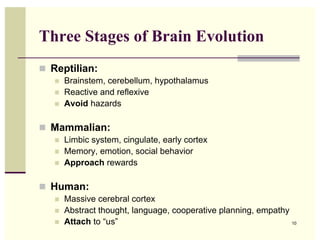 Three Stages of Brain Evolution
 Reptilian:
      Brainstem, cerebellum, hypothalamus
      Reactive and reflexive
      Avoid hazards

 Mammalian:
      Limbic system, cingulate, early cortex
      Memory, emotion, social behavior
      Approach rewards

 Human:
      Massive cerebral cortex
      Abstract thought, language, cooperative planning, empathy
      Attach to “us”                                            10
 