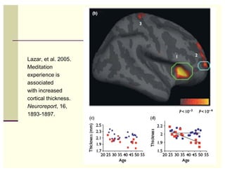 Lazar, et al. 2005.
Meditation
experience is
associated
with increased
cortical thickness.
Neuroreport, 16,
1893-1897.




                      30
 
