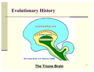Evolutionary History




          The Triune Brain
                             9
 