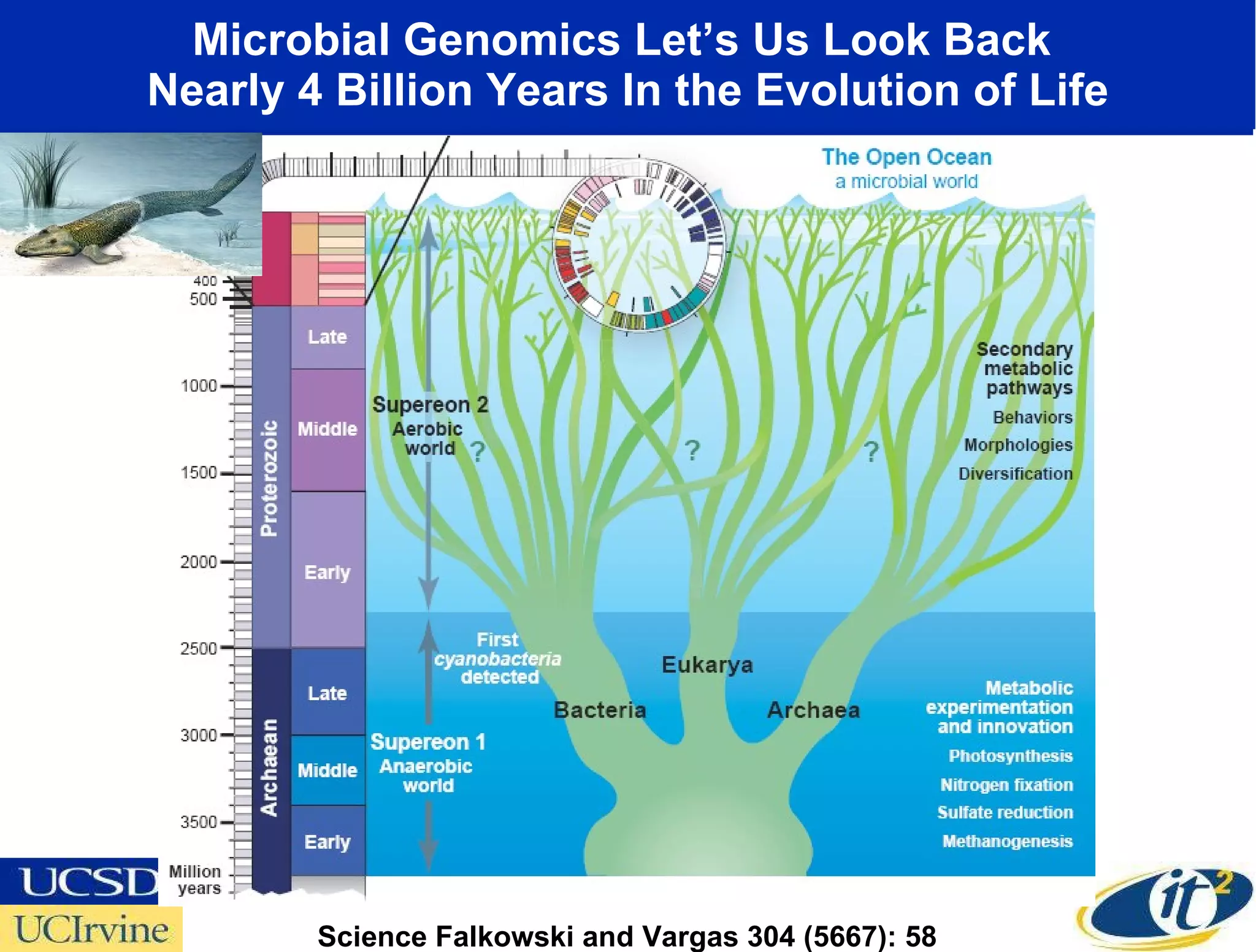 Microbial Genomics Let’s Us Look Back  Nearly 4 Billion Years In the Evolution of Life Science Falkowski and Vargas 304 (5667): 58 