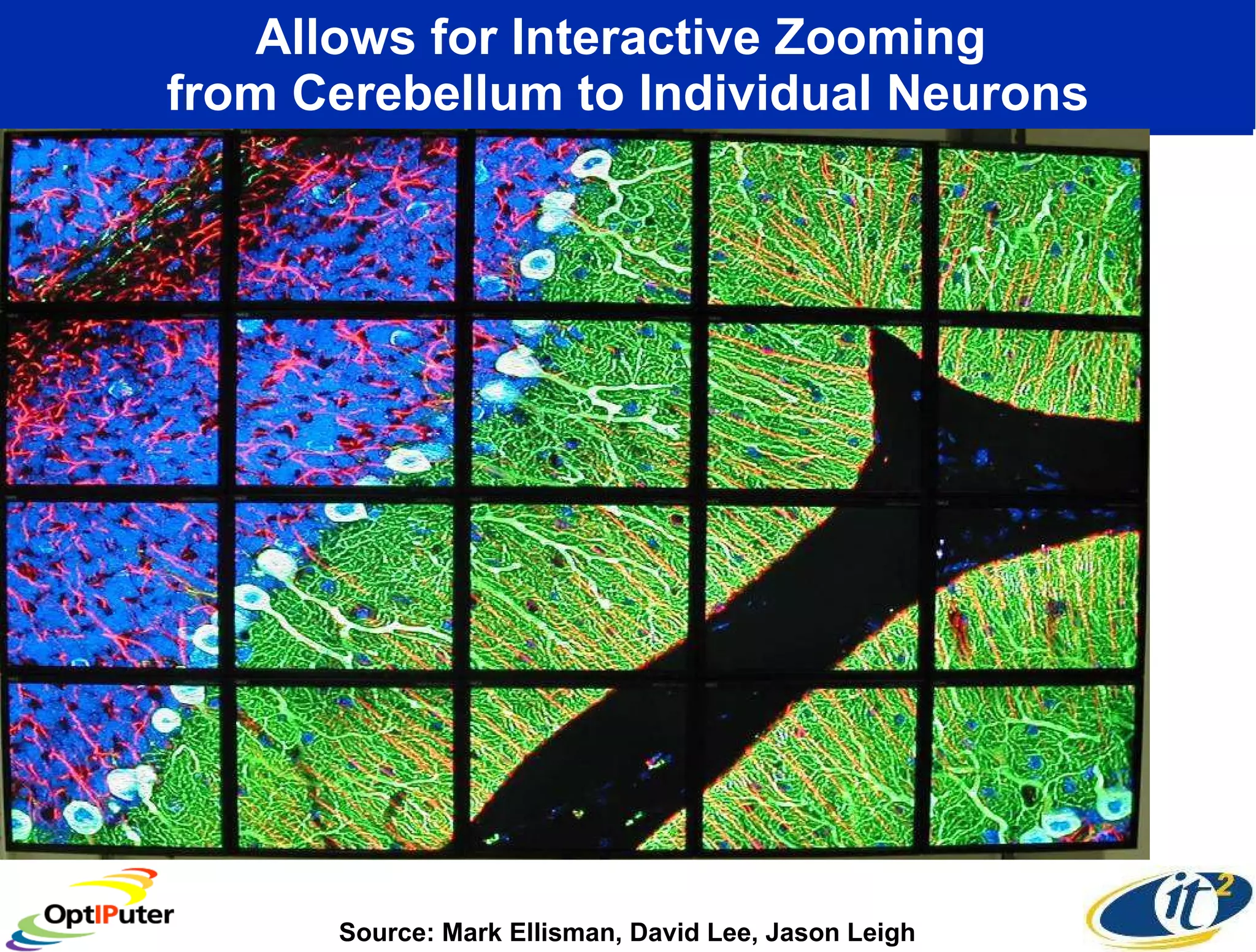 Allows for Interactive Zooming  from Cerebellum to Individual Neurons Source: Mark Ellisman, David Lee, Jason Leigh 