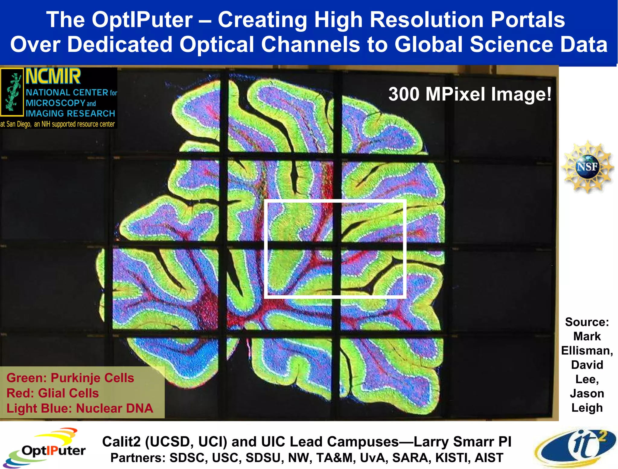 The OptIPuter – Creating High Resolution Portals  Over Dedicated Optical Channels to Global Science Data Green: Purkinje Cells Red: Glial Cells Light Blue: Nuclear DNA Source: Mark Ellisman, David Lee, Jason Leigh 300 MPixel Image! Calit2 (UCSD, UCI) and UIC Lead Campuses—Larry Smarr PI Partners: SDSC, USC, SDSU, NW, TA&M, UvA, SARA, KISTI, AIST 