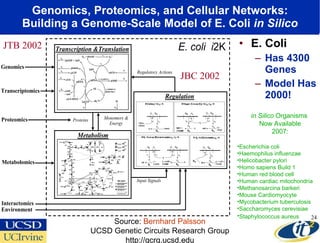 Genomics, Proteomics, and Cellular Networks: Building a Genome-Scale Model of E. Coli  in Silico E. Coli Has 4300 Genes Model Has 2000! Source:  Bernhard Palsson UCSD Genetic Circuits Research Group http://gcrg.ucsd.edu JTB 2002 JBC 2002 in Silico  Organisms  Now Available 2007: Escherichia coli  Haemophilus influenzae  Helicobacter pylori  Homo sapiens Build 1 Human red blood cell  Human cardiac mitochondria  Methanosarcina barkeri  Mouse Cardiomyocyte  Mycobacterium tuberculosis  Saccharomyces cerevisiae  Staphylococcus aureus   