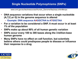 Single Nucleotide Polymophisms (SNPs) <ul><li>DNA sequence variations that occur when a single nucleotide (A,T,C,or G) in ...