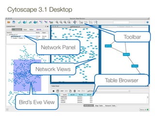 Quick Introduction to Cytoscape for Undergraduates | PDF