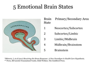 5 Emotional Brain States
Brain
State

Primary/Secondary Area

1

Neocortex/Subcortex

2

Subcortex/Limbic

3

Limbic/Midbrain

4

Midbrain/Brainstem

5

Brainstem

*Mitrovic, I, et al (2011) Rewiring the Stress Response: A New Paradigm in Health Care Hypothesis.
** Perry, BD (2006) Traumatized Youth, Child Welfare, The Guildford Press.

 