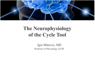 The Neurophysiology
of the Cycle Tool
Igor Mitrovic, MD
Professor of Physiology, UCSF

 