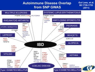 Autoimmune Disease Overlap
from SNP GWAS

Gut Lees, et al.
60:1739-1753
(2011)

 