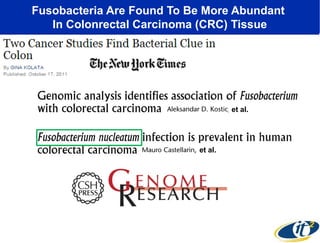 Fusobacteria Are Found To Be More Abundant
In Colonrectal Carcinoma (CRC) Tissue

et al.

et al.

 