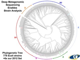 Deep Metagenomic
Sequencing
D
Enables
Strain Analysis

B2

E

B1

Phylogenetic Tree
778 Ecoli strains
=6x our 2012 Set

S

A

 