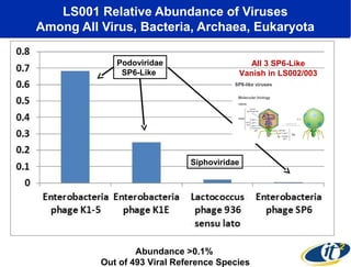 LS001 Relative Abundance of Viruses
Among All Virus, Bacteria, Archaea, Eukaryota
Podoviridae
SP6-Like

All 3 SP6-Like
Vanish in LS002/003

Siphoviridae

Abundance >0.1%
Out of 493 Viral Reference Species

 