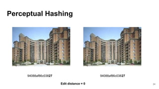 Perceptual Hashing
94088af86c03827 94088af86c03827
Edit distance = 0 24
 