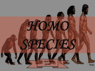 HOMO
SPECIES
By: April Denise
Globio
 