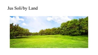 Jus Soli/by Land
 
