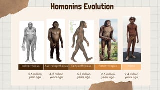 THE EVOLUTION OF HUMAN CULTURE (UCSP-11) | PDF