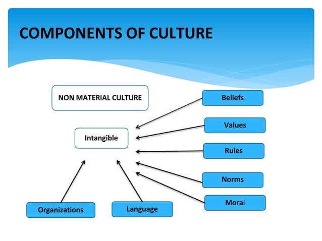 UCSP LESSON 2 Society and Culture.pptx