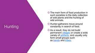 Hunting
 The main form of food production in
such societies is the daily collection
of wild plants and the hunting of
wild animals.
 Hunter-gatherers move around
constantly in search of food.
 As a result, they do not build
permanent villages or create a wide
variety of artifacts, and usually only
form small groups such
as bands and tribes.
 