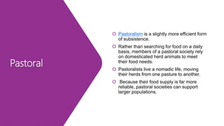 Pastoral
 Pastoralism is a slightly more efficient form
of subsistence.
 Rather than searching for food on a daily
basis, members of a pastoral society rely
on domesticated herd animals to meet
their food needs.
 Pastoralists live a nomadic life, moving
their herds from one pasture to another.
 Because their food supply is far more
reliable, pastoral societies can support
larger populations.
 