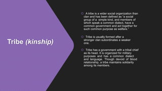 Tribe (kinship)
 A tribe is a wider social organization than
clan and has been defined as “a social
group of a simple kind, and members of
which speak a common dialect, have a
common government and act together for
such common purpose as welfare.”
 Tribe is usually formed after a
stronger clan subordinates a weaker
one.
 Tribe has a government with a tribal chief
as its head. It is organized for military
purposes and has a common dialect
and language. Though devoid of blood
relationship, a tribe maintains solidarity
among its members.
 