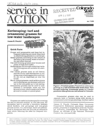 Service in



                                                                                                                                                             University




ACTION
                                                                                                                                                            Cooperative
                                                                                                                                                             Extension


                                                                                                                                                                 no. 7.232




Xeriscaping: turf and
ornamental grasses for
low-water landscapes
James R. Feucht




    Quick Facts
    Proper soil preparation and deep but in-
        frequent watering are most important
        in establishing grasses in a xeriscape.
    Select grasses according to the nature of
        the area to be covered, water availabil-
        ity and effect desired.
    Use sod-forming grasses near houses and
        areas of high foot traffic.
    Buffalograss and drought-enduring varie-
        ties of bluegrass are suitable in a xeri-
        scape.
    Use coarse grasses such as tall fescue,
        smooth brome and wheatgrass in out-
        lying areas where appearance and traf-
        fic are not as important as near the
        house.
    Warm-season grasses, such as blue grama
        and buffalograss, go dormant and turn
        tan in fall and green up in late spring.
    Ornamental grasses can be used to com-                                                  Figure1:Fountaingrass(Pennisetumsetaceum)
        plement a xeriscape; some are low                                                   growinginabedmulchedwithwoodchips.This
        ground covers, others make a tall back-                                             drought-enduring ornamental grass is a tender
        ground or screen or accent plant.                                                   perennial often grown as a tall annual in Colorado.


                                                                                               Ornamental grasses also can be used in
                                                                                            separate beds or borders along with shrubs to
                                                                                            complement a xeriscape planting. Another useful
    Grasses are useful in landscapes for covering
the soil to prevent erosion, to cool the area, for
recreation and to provide a transition between                                              1James R. Feucht,     Colorado State University
shrub borders, tree groupings and non-grass                                                 Cooperative Extension specialist,      landscape
ground covers. In a xeriscape, there are alterna-                                           plants; prepared in cooperation with the Techni-
tives to bluegrass that can provide an attractive                                           cal Advisory Committee for Xeriscape Front
lawn while reducing the need for frequent irri-                                             Range, an affiliate of the National Xeriscape
gation.                                                                                     Council, Inc. (revised 6/88)


  issued in furtherance of Cooperative Extension work, Acts of May 8 and June 30, 1914, in cooperation with the U.S. Department of Agriculture, Kenneth R. Bolen,
  director of Cooperative Extension, C o l o r a d o State University, Fort Collins, Colorado. Cooperative Extension programs are available to all without discrimination.
  T o simplify technical terminology, trade names of products and equipment occasionally will be used. N o endorsement of products named is intended nor is criti-
  cism implied of products not mentioned.
 
