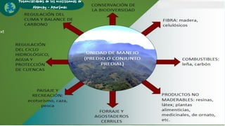 ext
Potencialidades de los ecosistemas de
Abancay - Apurímac
 