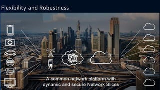 Flexibility and Robustness
 